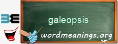 WordMeaning blackboard for galeopsis